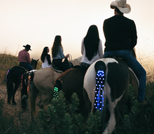 Load image into Gallery viewer, Original Tail Light
