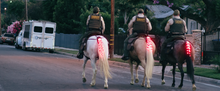 Load image into Gallery viewer, Original Tail Light
