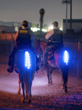 Load image into Gallery viewer, Original Tail Light